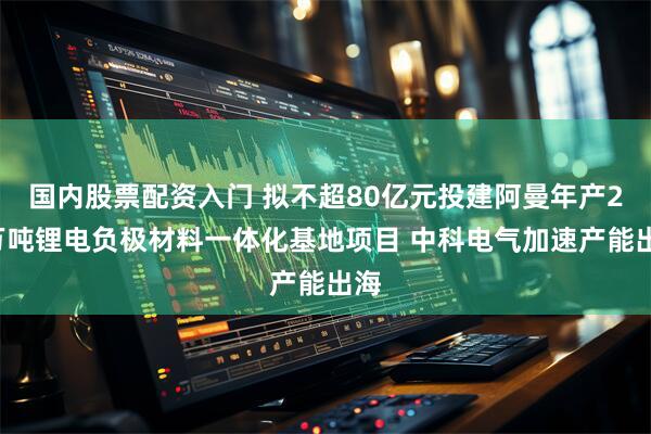 国内股票配资入门 拟不超80亿元投建阿曼年产20万吨锂电负极材料一体化基地项目 中科电气加速产能出海